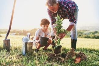 Grandfather and grandson planting a tree