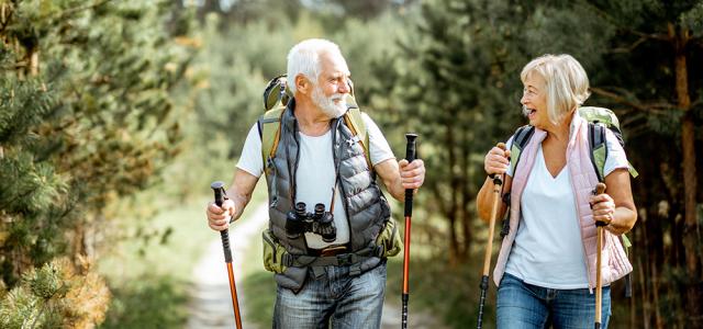 Happy senior couple hiking with trekking sticks and backpacks at the young pine forest.